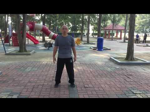 Five Ancestors Fist "Shuang Shui" 五祖拳双绥