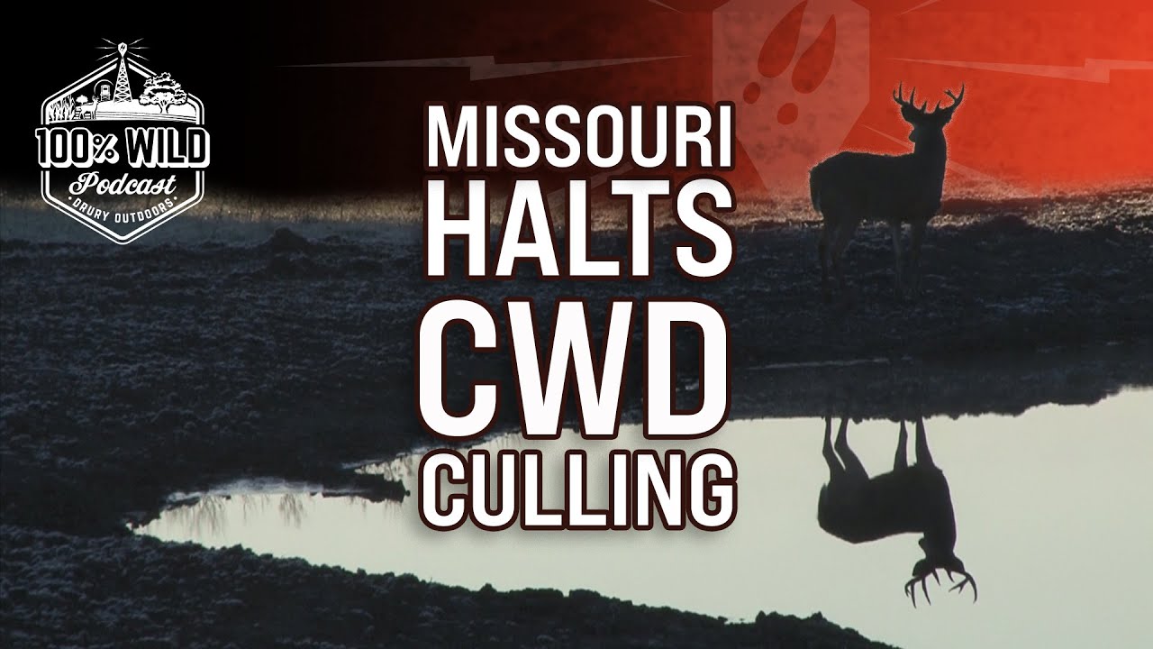 Is CWD Culling Over? Jason Sumners on the Future of Missouri Hunting ...