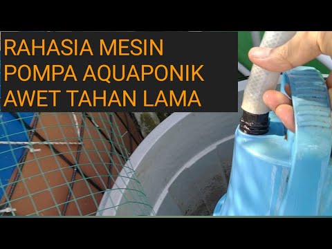 mesin pompa kolam ikan || mesin pompa air untuk kolam ikan aquaponik