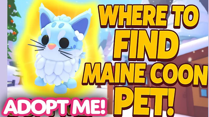 Video 11869521: pet maine coon, maine coon adoption, maine coon show, mainecoon