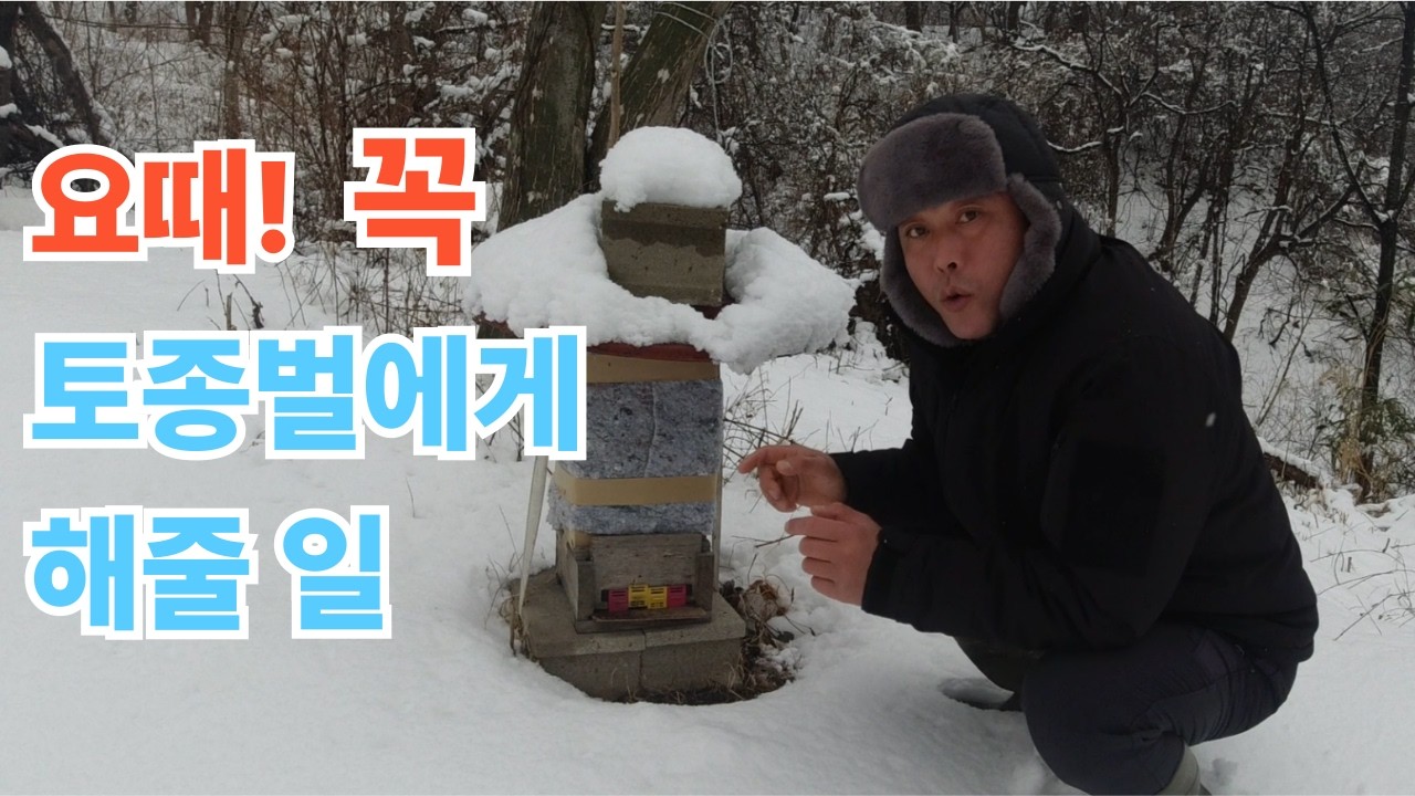 요때! 꼭 토종벌에게 해줄 일