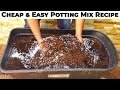 This is what happens when you use your own Potting mix vs Potting soil - Easy/Cheap DIY Potting Mix!