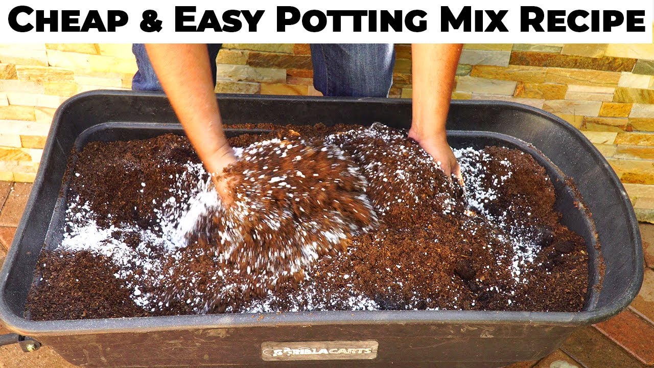 Potting Mix Vs Potting Soil Easy Cheap Diy Potting Mix Recipe Youtube