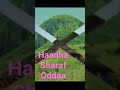 Haadha Sharaf Oddaa Shorts Haadha Sharaf Oddaa Shorts