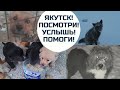 Обращение к жителям Якутска