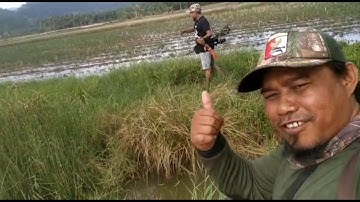 Hunting belibis II spot new Sulawesi Tengah by Anto BTS & Team teluk banggai sulteng