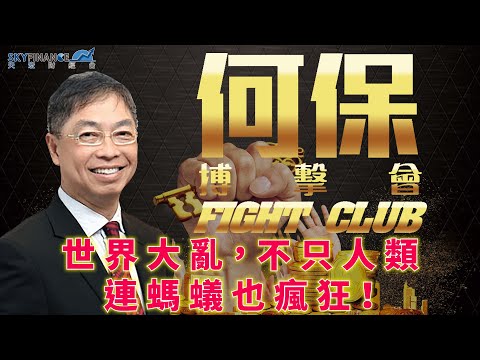 20201105 金融揭秘 #何保【預告版】:世界大亂,不只人類,連螞蟻也瘋狂!