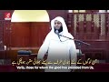 Who will be saved from hell? مَن سينجو من النار؟Sheikh Mansour al Salimi