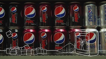 PepsiCo: our Performance with Purpose Agenda English