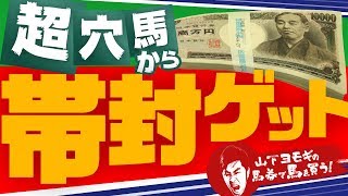 【涙腺崩壊】出た！帯リオン！超穴馬から帯封ゲット！11/3京都8R