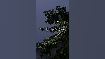 24 ثانية من الراحة النفسية | سورة الجاثية | للقارئ الشيخ ياسر الدوسري😌🎧