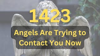 Unlock the Hidden Angel Number 1423 Meaning Instantly! Information