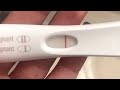 Live first response pregnancy test 10 days dpo  16 days dpo