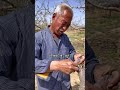 嫁接像极了婚姻 能慰合好就能开花结果 愈合不好就只有一起枯萎 嫁接果树不知道能不能成活 一个生命在另一个生命上去延续 去绽放 去结果 真的像极了婚姻 能愈合好就能开花结果 愈合不好 农村 嫁接像极了婚姻 能慰合好就能开花结果 愈合不好就只有一起枯萎 嫁接果树不知道能不能成活 一个生命在另一个生命上去延续 去绽放 去结果 真的像极了婚姻 能愈合好就能开花结果 愈合不好 农村