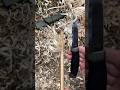 S#0192 ⚡ Morakniv Companion Feather Stick Making Fuzz Stick Featherstick Curles Feathersticking Test