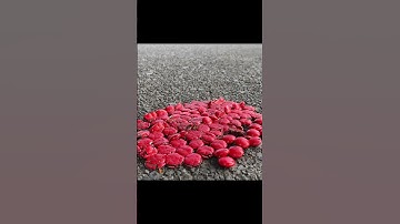Crushing Crunchy & Soft Things by Car! EXPERIMENT Car vs chocolate candy #shorts #asmr #asmrsound