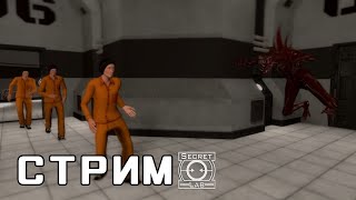 Scp: Sl | Стрим