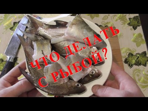 Рыбы Ока Фото Рыбы Ока Фото