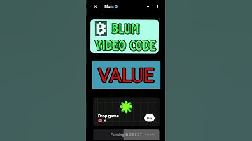 What Are AMMs? Blum video code || #blum #blumvideo #blumcoin 24 September today