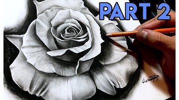 How To Draw A REALISTIC Rose - BEST Tutorial! Part 2