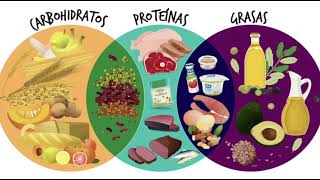 Metabolismo de energia UPAEP