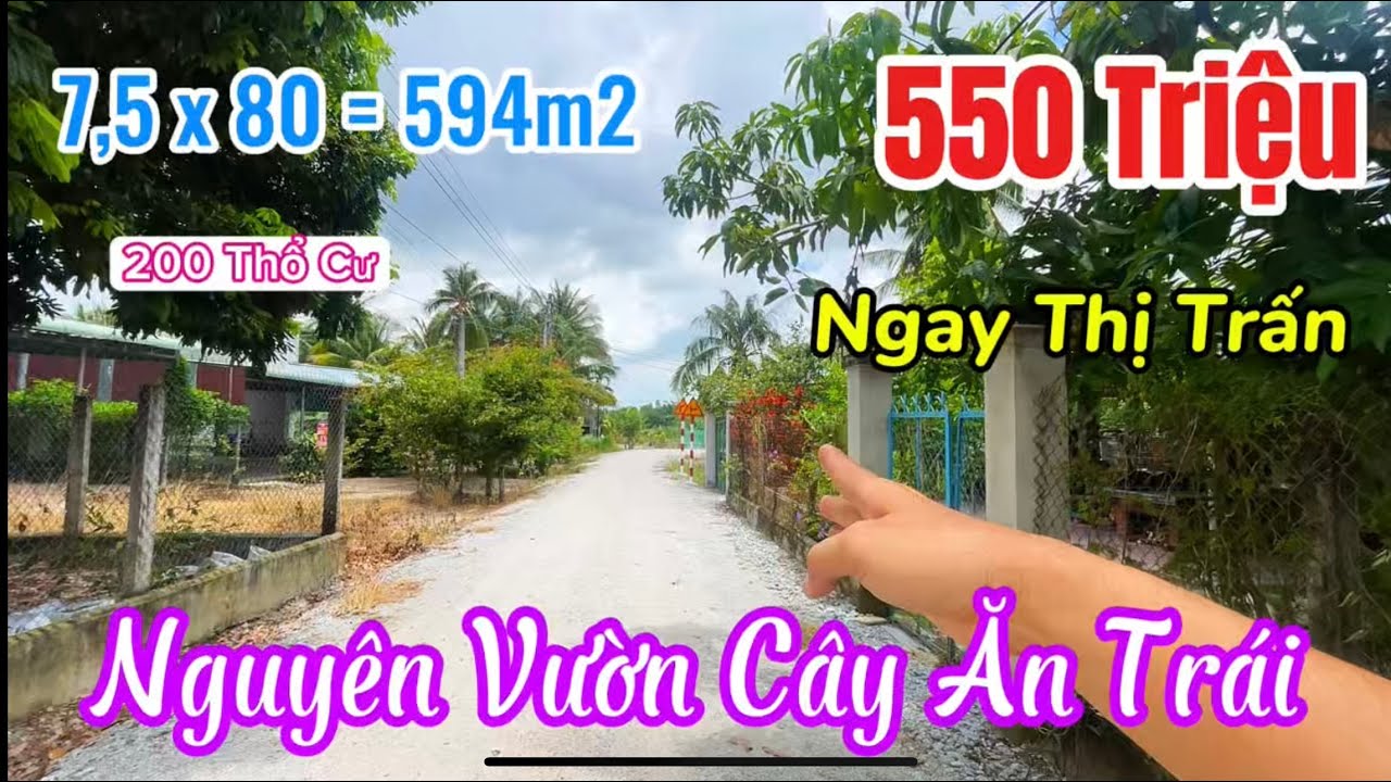 ( Đã Bán) Đất Siêu Dài 7,5x80 Ngay Thị Trấn💥 Có 200m² Thổ Cư + Vườn Trái Cây Chỉ 550 Triệu!