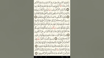 ماهر المعيقلي سورة الزمر مكتوبة صفحة 466 و صفحة 467 ثمنها مصحف المدينة المنورة جودة عالية