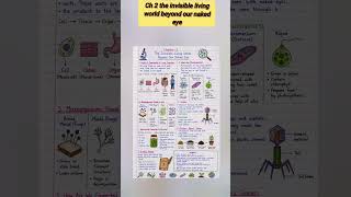 class 8th science ch - 2 The invisible living world beyond our naked eye easy explanation notes 📝📌