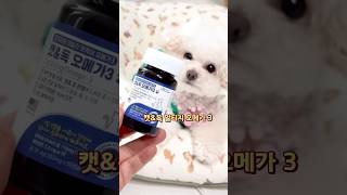 강아지 고양이 필수영양제 추천 #오메가3