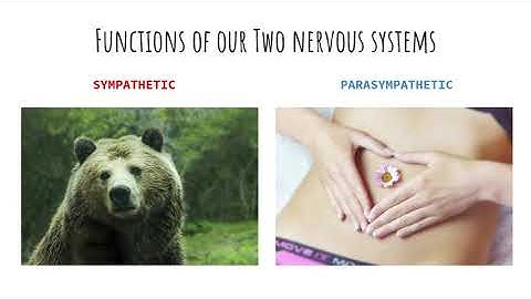 Coping with Adversity and Recovering from Crisis - The True Meaning Behind Stress (2)