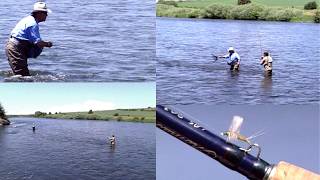 Henry's Fork Guide 5 "An Epic Tailwater"
