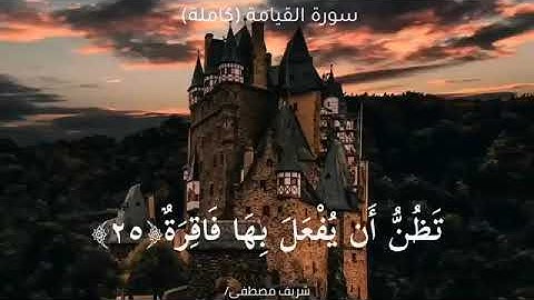 تلاوة هادئة و خاشعة |سورة القيامة (كاملة)| القارى يزن الغرباوي#القرآن_الكريم