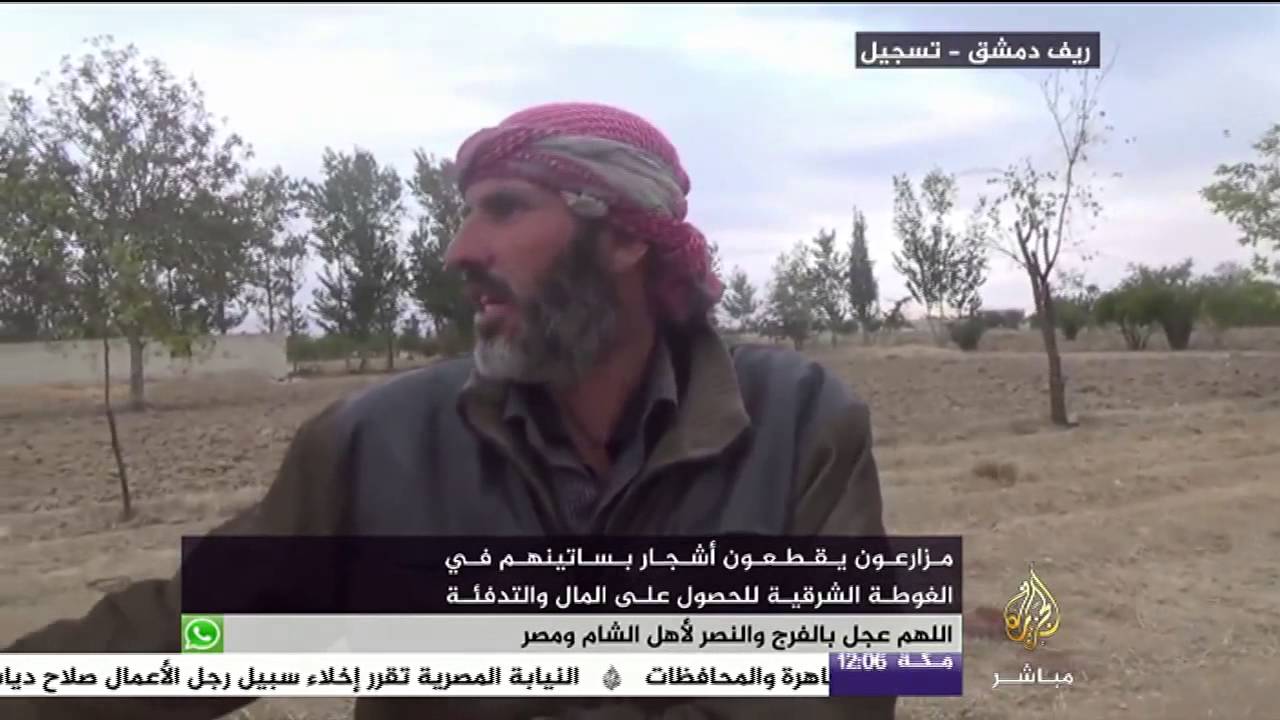 مزارعون يقطعون أشجار بساتينهم في الغوطة الشرقية للحصول على المال والتدفئة