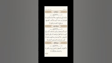 الورد اليومي: 4 صفحات (601-602-603-604) لتجنب هجر القرآن | تذكير يومي مستمر #قرآن #تلاوة