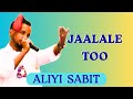 Aliyi Sabit JAALALE TOO New Oromo Music 2025 Aliyi Sabit JAALALE TOO New Oromo Music 2025