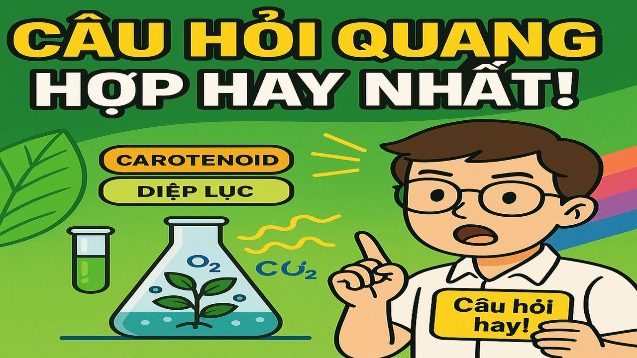 Video Trắc nghiệm Sinh học lớp 11- Bài 5 Thực hành Quang hợp ở thực vật - youtube