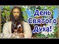 🌸 День Святого Духа! Духов День 21 июня! 🌸 Красивое поздравление с Днем Святого Духа! 🌸