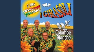 Video thumbnail of "I Girasoli - Vecchio scarpone"