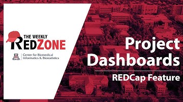 REDZone - Project Dashboards