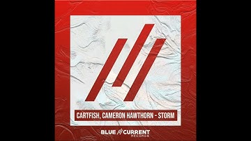 CARTFISH, Cameron Hawthorn - Storm (Extended Mix)