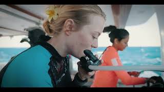 Welcome to the Red Sea Life Diving Experience | Hurghada, Egypt