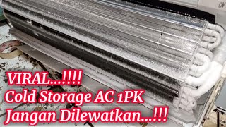 Membuat Cold Storage dari AC 1PK yang bikin Orang penasaran.