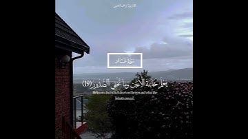 تلاوة هادئة من سورة غافر للقارئ نواف الحنين