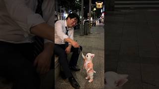 대리운전 부르신 분