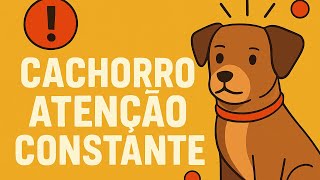 Cachorro Atenção Constante
