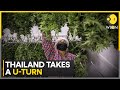 Thailand govt takes a U-turn on cannabis, to criminalise cannabis again | Latest News | WION