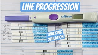 OVULATION TEST LINE PROGRESSION | positive pregnancy cycle