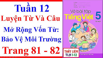 Vở Bài Tập Tiếng Việt Lớp 5 | Tuần 12 | Luyện Từ Và Câu | Mở Rộng Vốn Từ: Bảo Vệ Môi Trường Trang 81