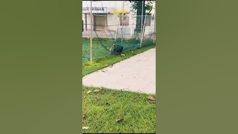 while playing cricket 🏏 on net monkey 🐒😂🤣