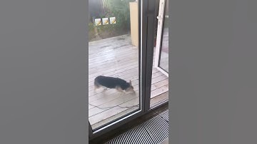 MARKUL - Snippet 16/06/21